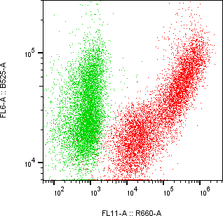 Rabbit-anti LCN1 monoclonal antibody