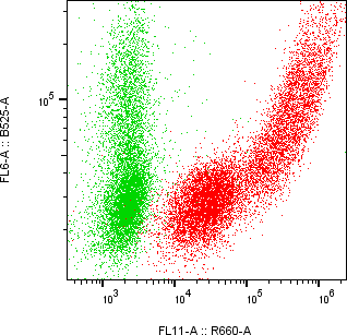Rabbit-anti DEFB115 monoclonal antibody