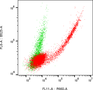Rabbit-anti CDH13 monoclonal antibody