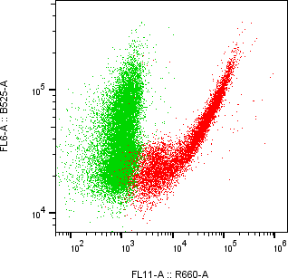 Rabbit-anti MATN4 monoclonal antibody