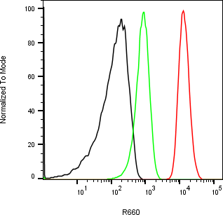 Rabbit-anti BPIFA2 monoclonal antibody
