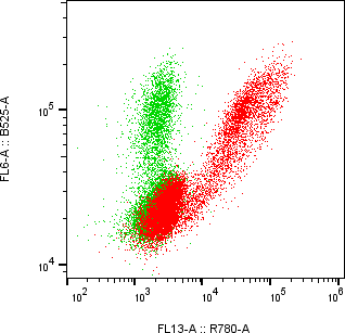 Rabbit-anti hIGF2 monoclonal antibody