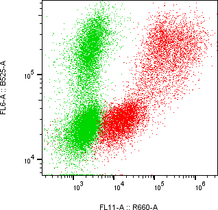 Rabbit-anti KLK8 monoclonal antibody