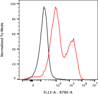 Rabbit-anti VCAM1 monoclonal antibody