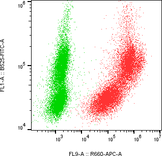 Rabbit-anti PSG1 monoclonal antibody