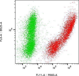 Rabbit-anti PLAU monoclonal antibody