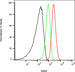 Rabbit-anti BPIFA2 monoclonal antibody