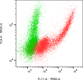 Rabbit-anti CGREF1 monoclonal antibody