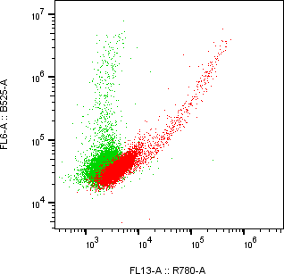 Rabbit-anti KIRREL1 monoclonal antibody