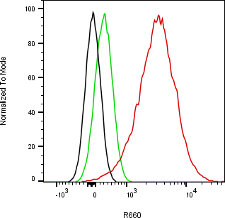Rabbit-anti COL3A1 monoclonal antibody