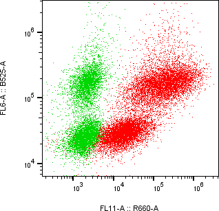Rabbit-anti VSTM1 monoclonal antibody