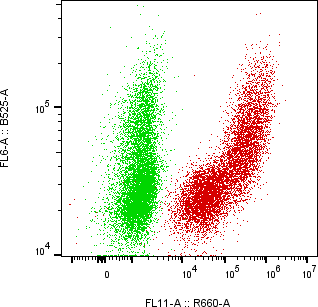 Rabbit-anti CCL23 monoclonal antibody