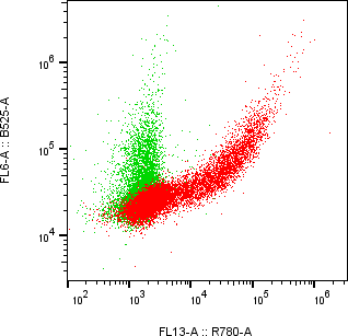 Rabbit-anti KIR2DL1 monoclonal antibody
