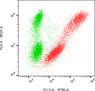 Rabbit-anti IFNA14 monoclonal antibody