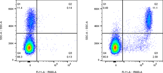 Rabbit-anti CD300LF monoclonal antibody