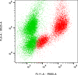 Rabbit-anti TROP2 monoclonal antibody