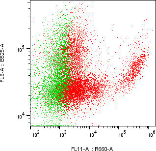 Rabbit-anti DEFB127 monoclonal antibody