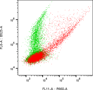 Rabbit-anti IL23R monoclonal antibody