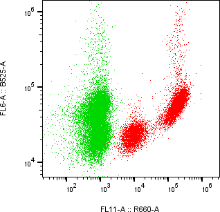 Rabbit-anti LAIR1 monoclonal antibody