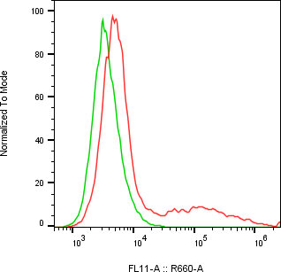Rabbit-anti IL23R monoclonal antibody