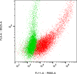 Rabbit-anti NPTN monoclonal antibody