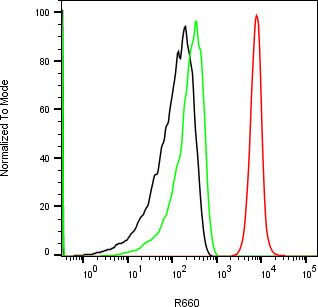 Rabbit-anti AMHR2 monoclonal antibody