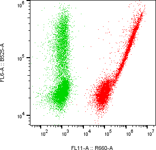 Rabbit-anti CD109 monoclonal antibody