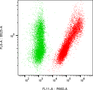 Rabbit-anti AGER monoclonal antibody