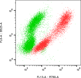 Rabbit-anti IL5 monoclonal antibody