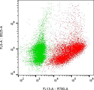 Rabbit-anti IGFBP6 monoclonal antibody