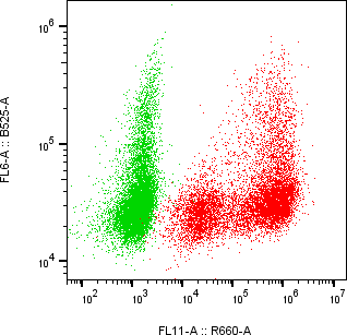 Rabbit-anti SPINK6 monoclonal antibody