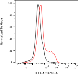 Rabbit-anti GUCA2B monoclonal antibody