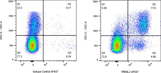 Rabbit-anti TREML2 monoclonal antibody