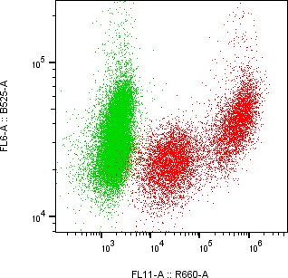 Rabbit-anti PGLYRP4 monoclonal antibody