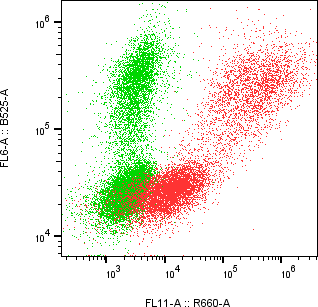 Rabbit-anti NPC2 monoclonal antibody