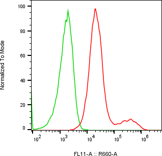 Rabbit-anti SERPINF2 monoclonal antibody