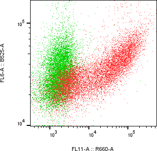Rabbit-anti CHAD monoclonal antibody