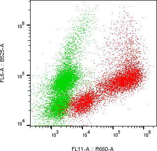 Rabbit-anti SPARC monoclonal antibody