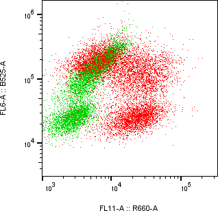 Rabbit-anti CCL23 monoclonal antibody