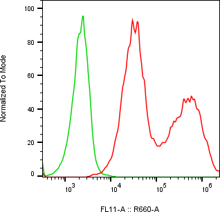 Rabbit-anti DEFB115 monoclonal antibody