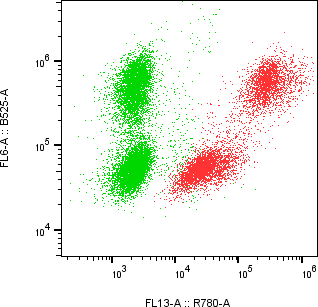 Rabbit-anti RBP4 monoclonal antibody