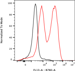 Rabbit-anti KLK3 monoclonal antibody