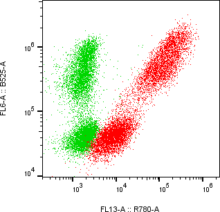 Rabbit-anti SERPINF1 monoclonal antibody