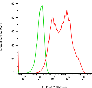 Rabbit-anti CST1 monoclonal antibody