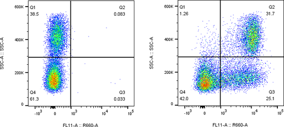 Rabbit-anti PD-1 monoclonal antibody