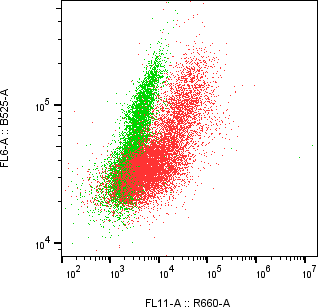 Rabbit-anti BTC monoclonal antibody