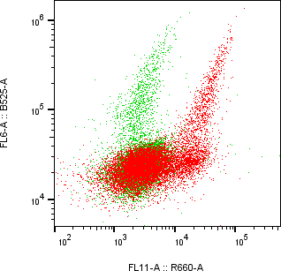 Rabbit-anti PRSS35 monoclonal antibody