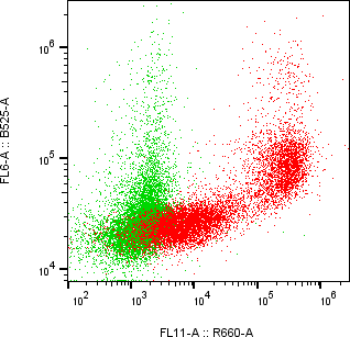 Rabbit-anti ITGB5 monoclonal antibody