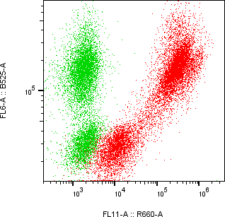 Rabbit-anti CBLN4 monoclonal antibody