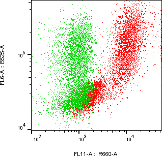 Rabbit-anti CSH1 monoclonal antibody
